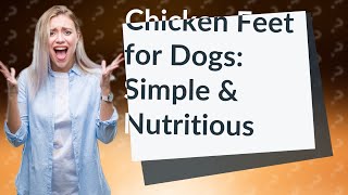 How do I cook chicken feet for my dog?