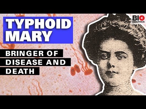Typhoid Mary: The Bringer of Disease and Death