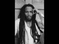 ziggy marley-keep on dreamin
