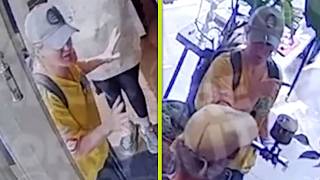 Kelly Clarkson vs. The Art of Play: New Security Footage of Bird-Buying Incident