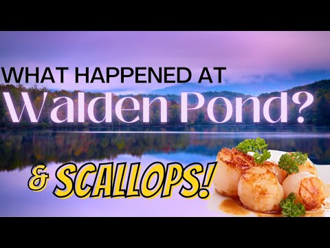 Walden Pond Tour And Captain Marden's Seafood In Massachusetts