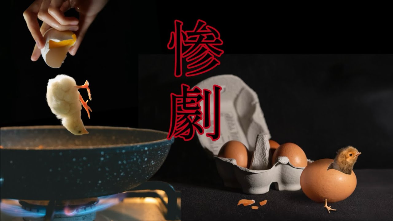 雛鳥の過酷な世界【閲覧注意】