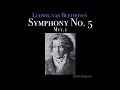 Beethoven's 5th Symphony (High Quality Remastered)