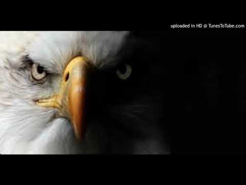 Eternal Dj-Alejandro Hdz hard circuit