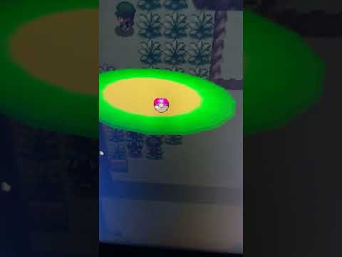 Shiny Ponyta from FIRST horde encounter (1/30000)