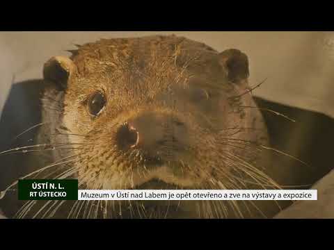 ÚSTÍ NAD LABEM: Ústecké Muzeum je opět otevřeno a zve na výstavy a expozice