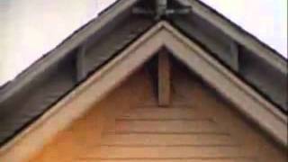 Tori Amos: Scarlet Stories - Another Girl&#39;s Paradise