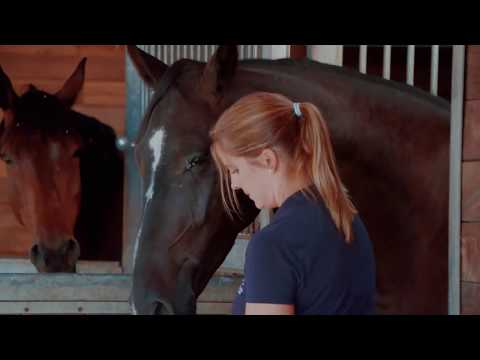 HENGSTSTATION MAAS J. HELL - TRAILER