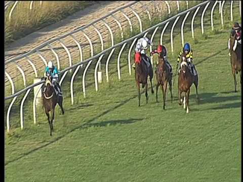 Galoppo 21/06/2017 - 6ª corsa