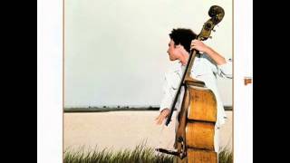 tiger in the rain  /  miroslav vitous