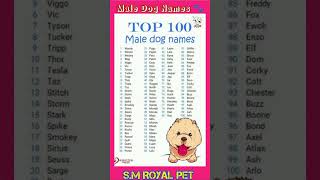 Top 100 male dogs name #charliedog #2024 #love #charlie #777 #adorabledog #doggie #doggys #goodboy