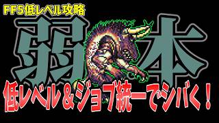 FF5 アパンダを低Lv+ジョブ統一でシバいてみた FINAL FANTASY V Make it all the same of job & level1 Apanda