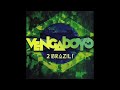 Vengaboys To Brazil
