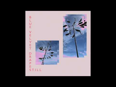 Blue Velvet Drapes - Still (Official Audio)
