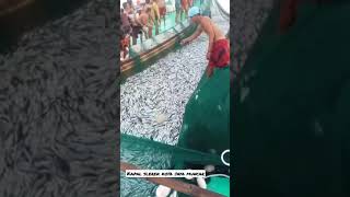 Download lagu 1 PERAHU FULL | KAPAL SLEREK KOTA JAYA MUNCAR #shorts mp3