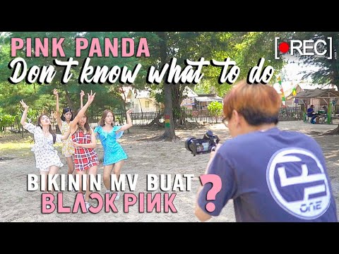 [Behind The Scene] BLACKPINK - Don't Know What To do (MV Ver. By PINK PANDA)