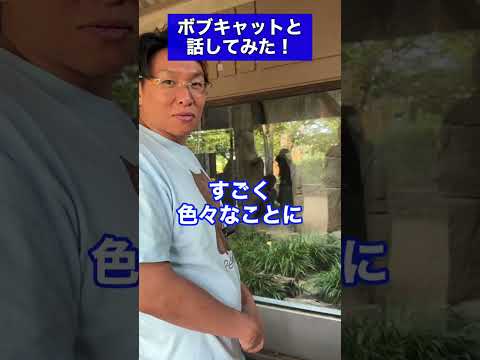 バイオレット・D・ボブキャットについて詳しく解説