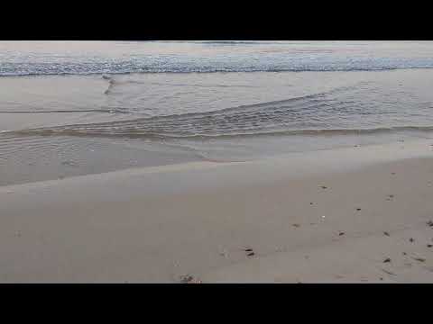 Konkan: A secluded beach and pure sound of ocean