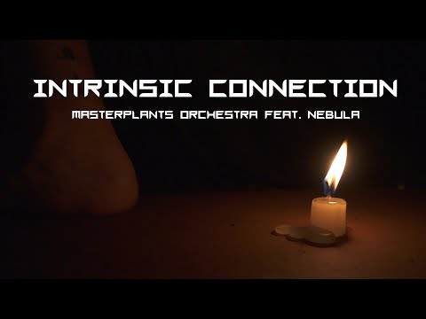 Intrinsic Connection - Plant Music - Feat: Nebula