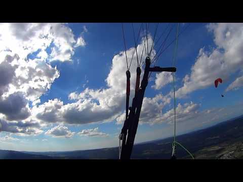 les spatzs de Reconvilier