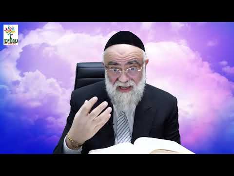 תהילים: הביטחון של דוד המלך בה'  - חלק 41 - הרב משה פינטו HD