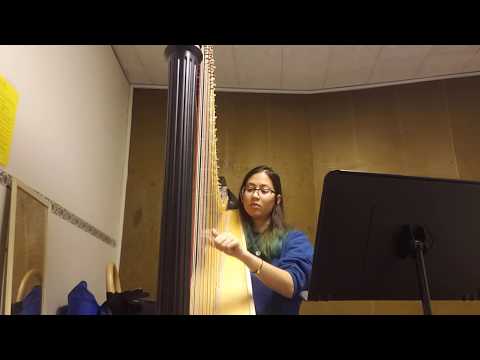 Nabeela Zoss - Wet Hands Harp Cover (Relaxing Minecraft Music)