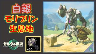 【ゼルダの伝説ティアキン】「白銀モリブリン」の素材が集まるオススメルートを紹介！「白銀モリブリンの角」など
