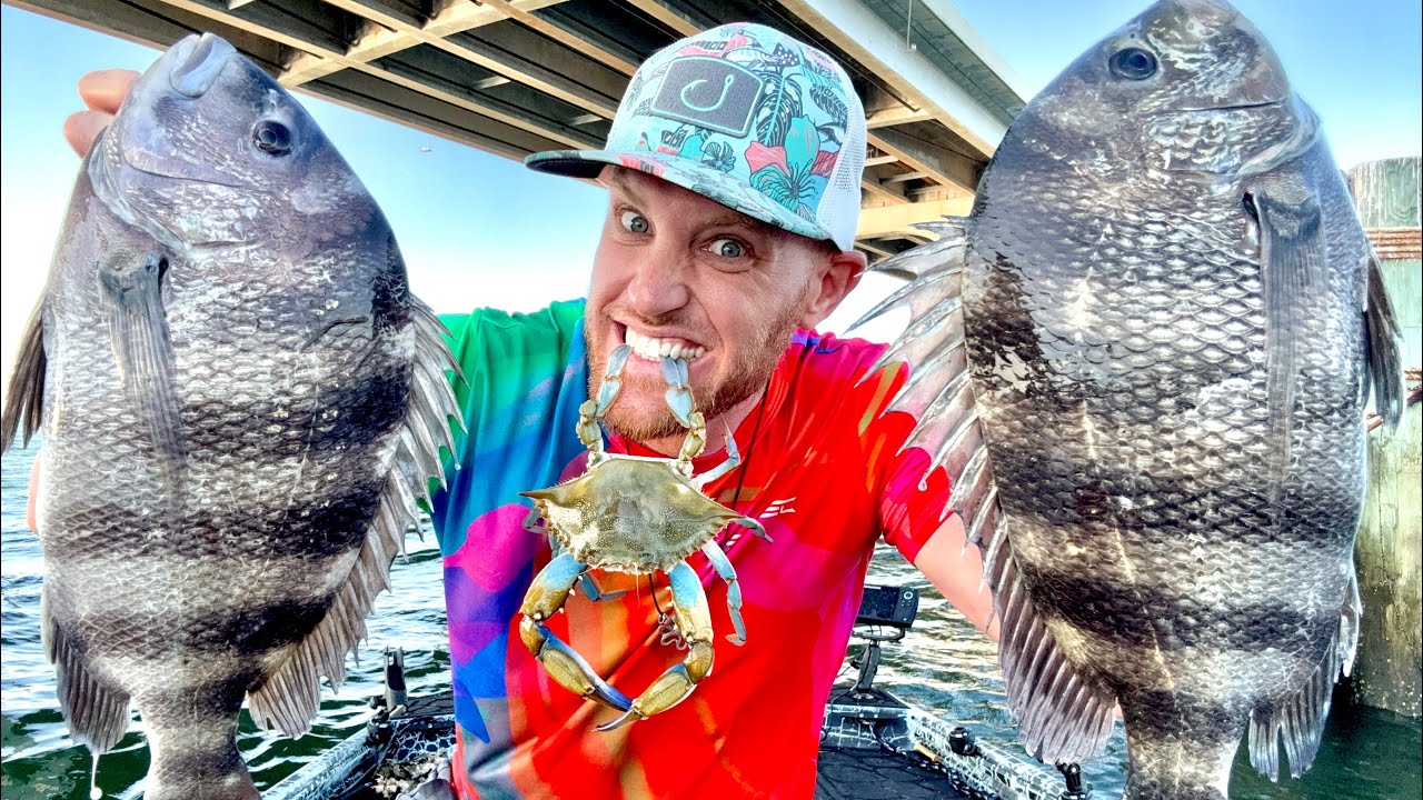 Cajun Crab and Sheepshead Catch n' Cook! INSANE Sheepshead Bite!!