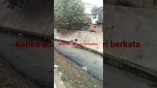Download lagu Ketika ada seorang istri berkata#quotes#nasehatdiri#motivasi#short#shortvideo#storywa#katabijak mp3
