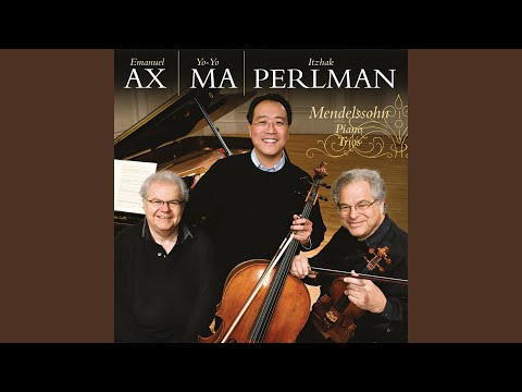 Piano Trio No. 1 in D Minor, Op. 49: I. Molto allegro e agitato