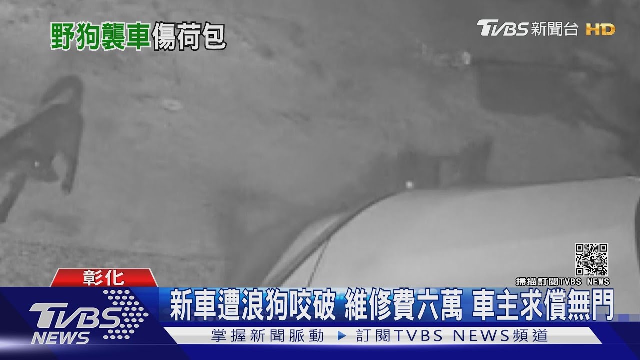 新車遭浪狗咬破維修費六萬 車主求償無門
