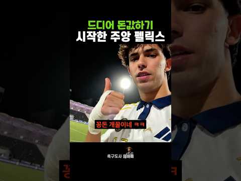 드디어 돈값하기 시작한 주앙 펠릭스