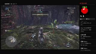 テスト配信　MHW
