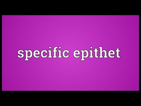 image-What is the specific epithet of humans?