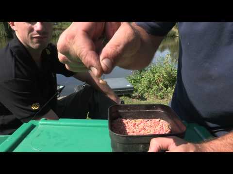 Part 12 Angling Basics with Shakespeare: Starting Coarse Fishing - Understanding Baits