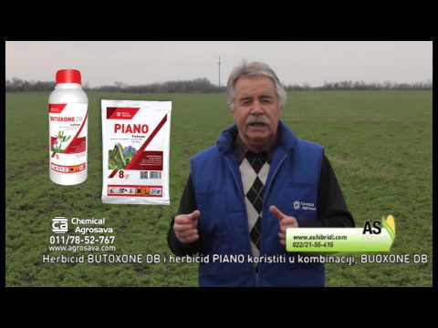 Butoxone i Piano Lucerka