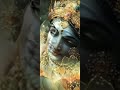 Adharam Madhuram Hindi Version Swasti Mehul Madhurashtakam Krishna Janmashtami Special Bhajan