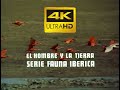 El hombre y la Tierra - Audio y Video Remasterizado a 4k UHD (tema completo) de Antón García Abril.