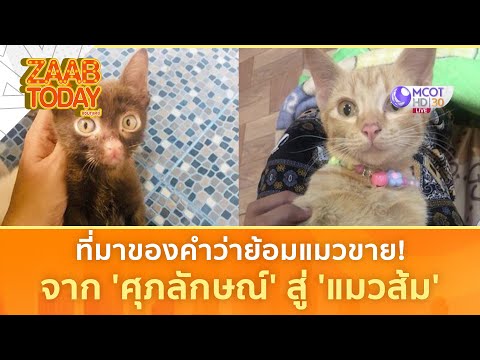 คลิกเพื่อดูคลิปวิดีโอ