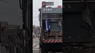 Coletores Trabalhando em Suzano. ...