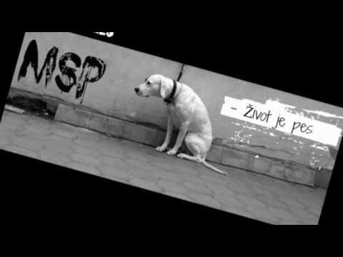 MSP - Život je pes