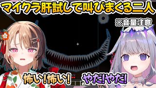 マイクラ肝試しで叫びまくる二人【ホロライブ切り抜き/IRyS/ハコスベールズ/ジジ・ムリン/古石ビジュー/Gigi Murin/Koseki Bijou/Hakos】【EN/JP SUB】