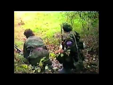 Wovles from vucijaka