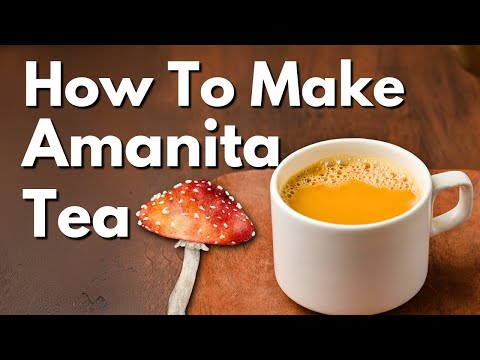 How to Make Amanita Mushroom Tea