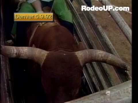 HIGH FIVE - BULL RIDING BULLMANIA