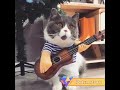 Videoplayback 1