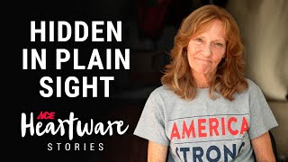 Hidden In Plain Sight- Ace Heartware Stories