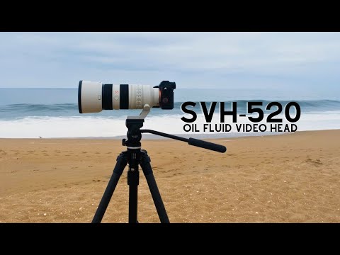 The perfect budget friendly Video Head