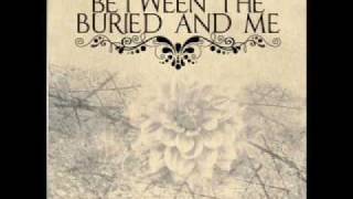 Between the Buried and Me- Swim to the Moon (Part 1)