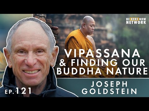 Vipassana & Finding Our Buddha Nature with Sharon Salzberg & Joseph Goldstein – Insight Hour Ep. 121